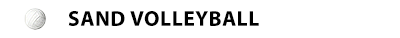 ChatterlessDonkeys plays in a Sand Volleyball league